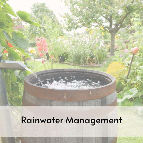 Whisky barrel converted to rain barrel with water trickling in from a pipe on the left side. 