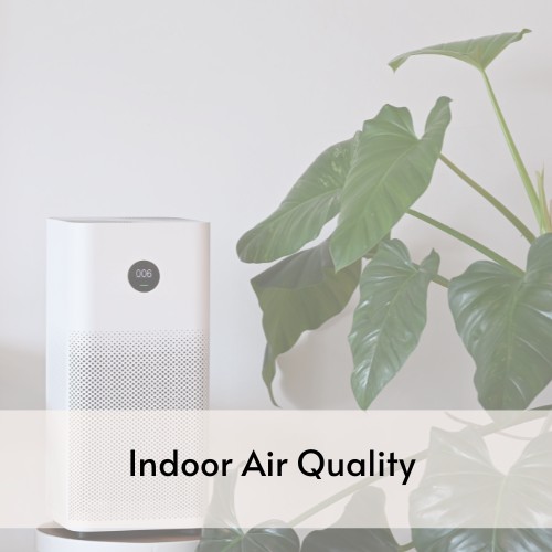 Floor standing dehumidifier to the left of a large broadleaf plant.