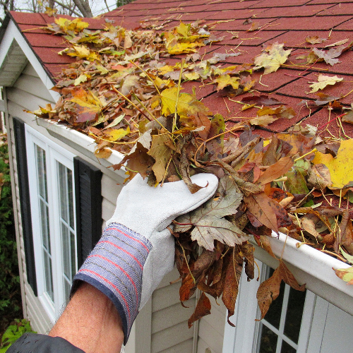 Homeowner cleaning out fall leaves from gutters with a ladder.